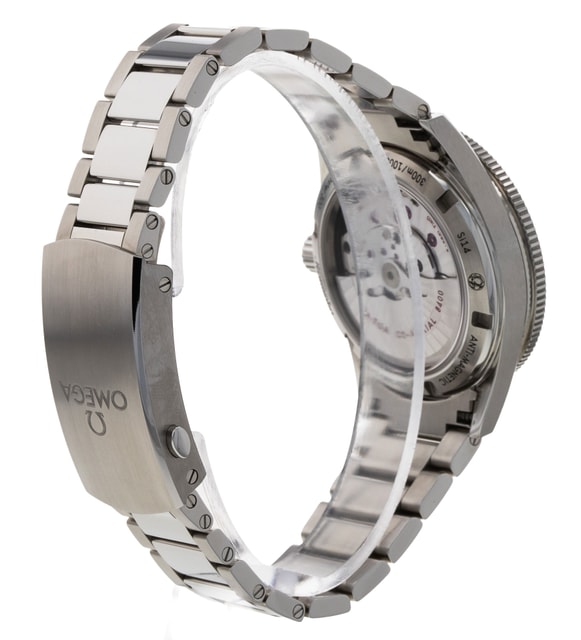 Omega Seamaster 300 233.30.41.21.01.001 Image 3